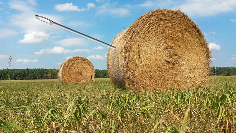 The Needle in a Haystack – Why don’t we hear of more lives ruined by Cyber Security Breaches?