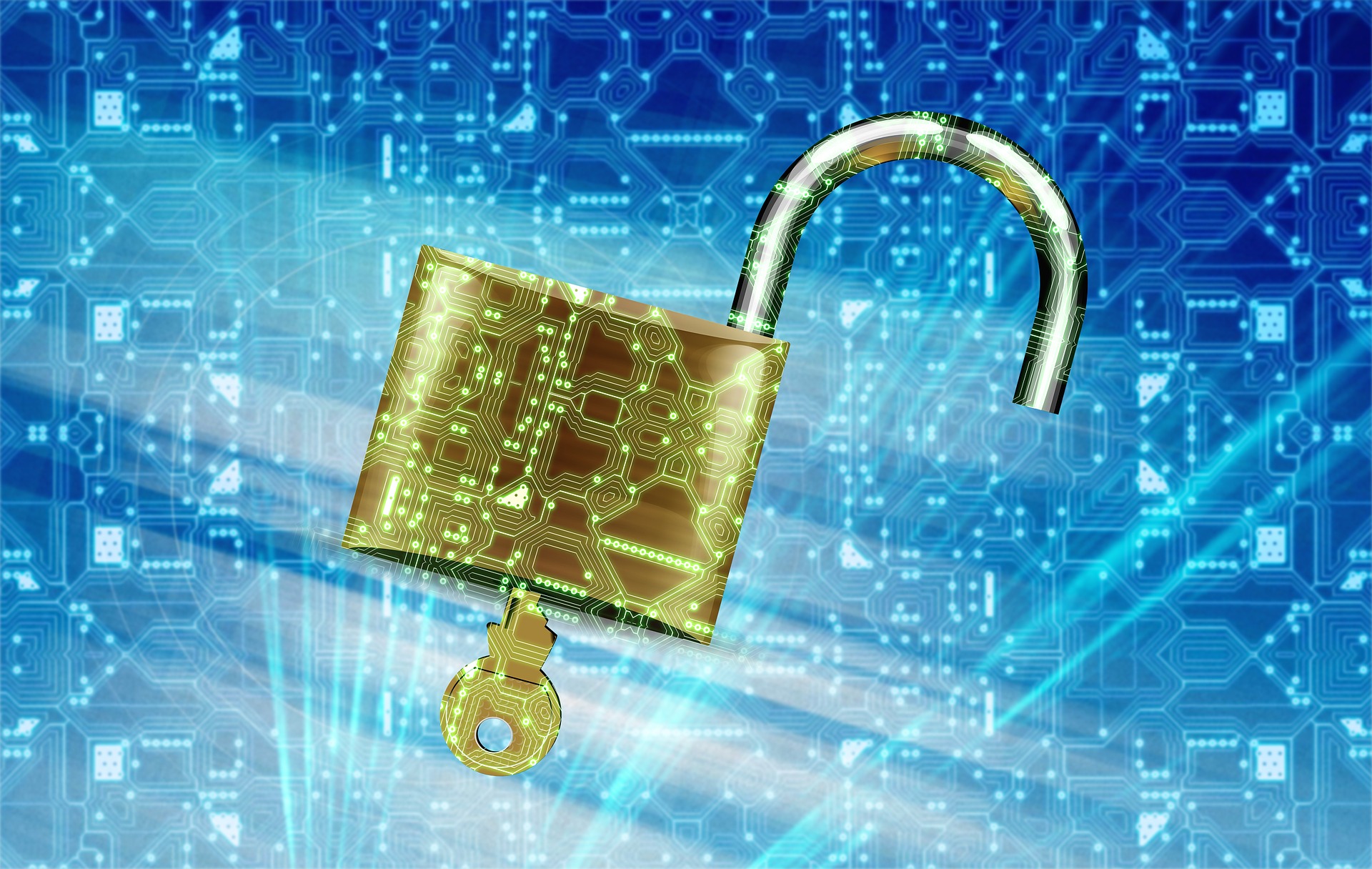 Password Security Advice – Paranoia has become the New Normal…
