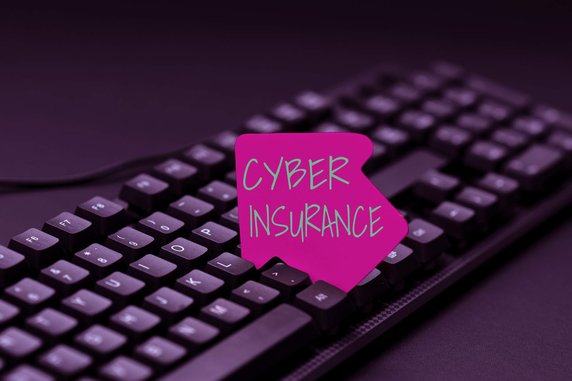 cyberinsurance premiums are on the rise